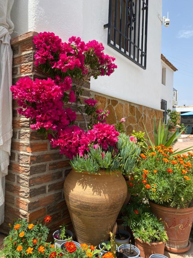 דירות Oria Cortijo Perejil, A Tranquil Mountain Escape & Private Pool מראה חיצוני תמונה