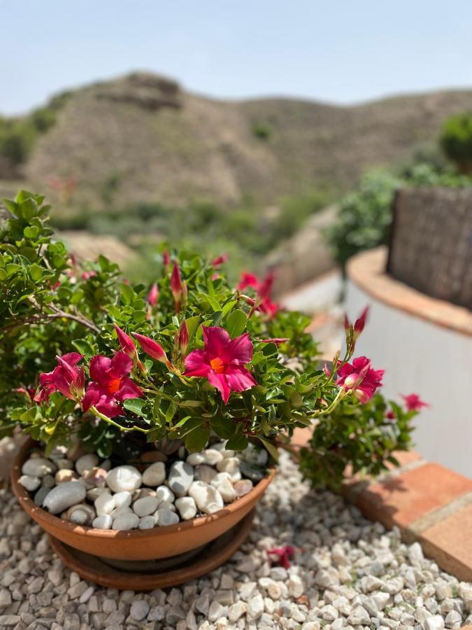 דירות Oria Cortijo Perejil, A Tranquil Mountain Escape & Private Pool מראה חיצוני תמונה