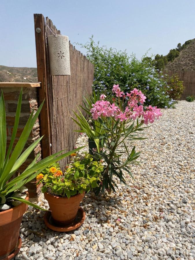 דירות Oria Cortijo Perejil, A Tranquil Mountain Escape & Private Pool מראה חיצוני תמונה