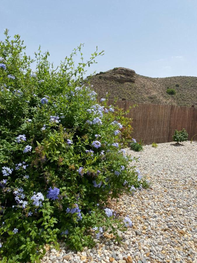 דירות Oria Cortijo Perejil, A Tranquil Mountain Escape & Private Pool מראה חיצוני תמונה